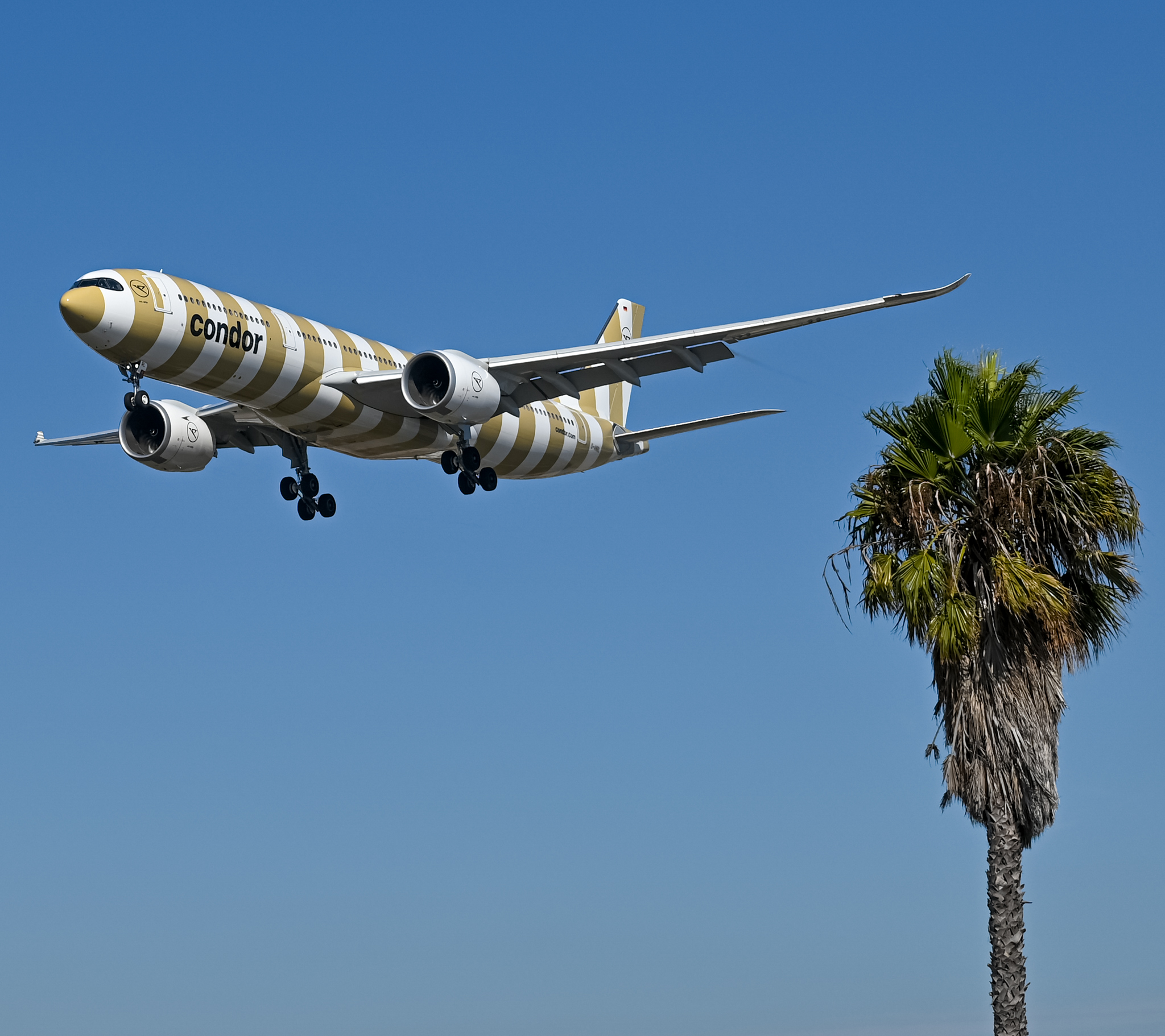 Full size: Condor Airbus A330-900 D-ANRL at Los Angeles International Airport