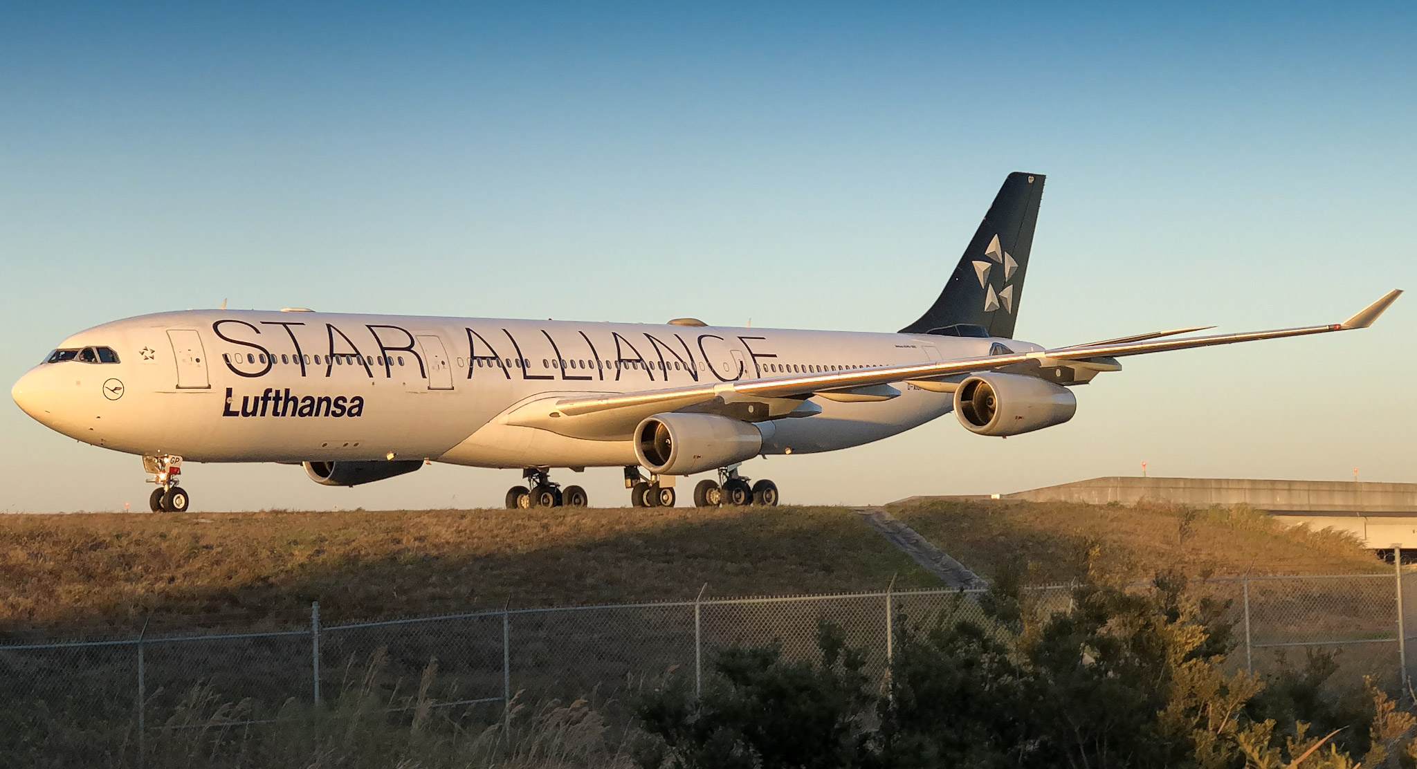 Full size: Lufthansa Airbus A340-300 D-AIGP at Orlando International Airport