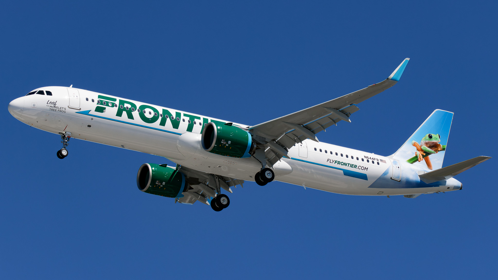 Full size: Frontier Airlines Airbus A321NEO N644FR at Tampa International Airport