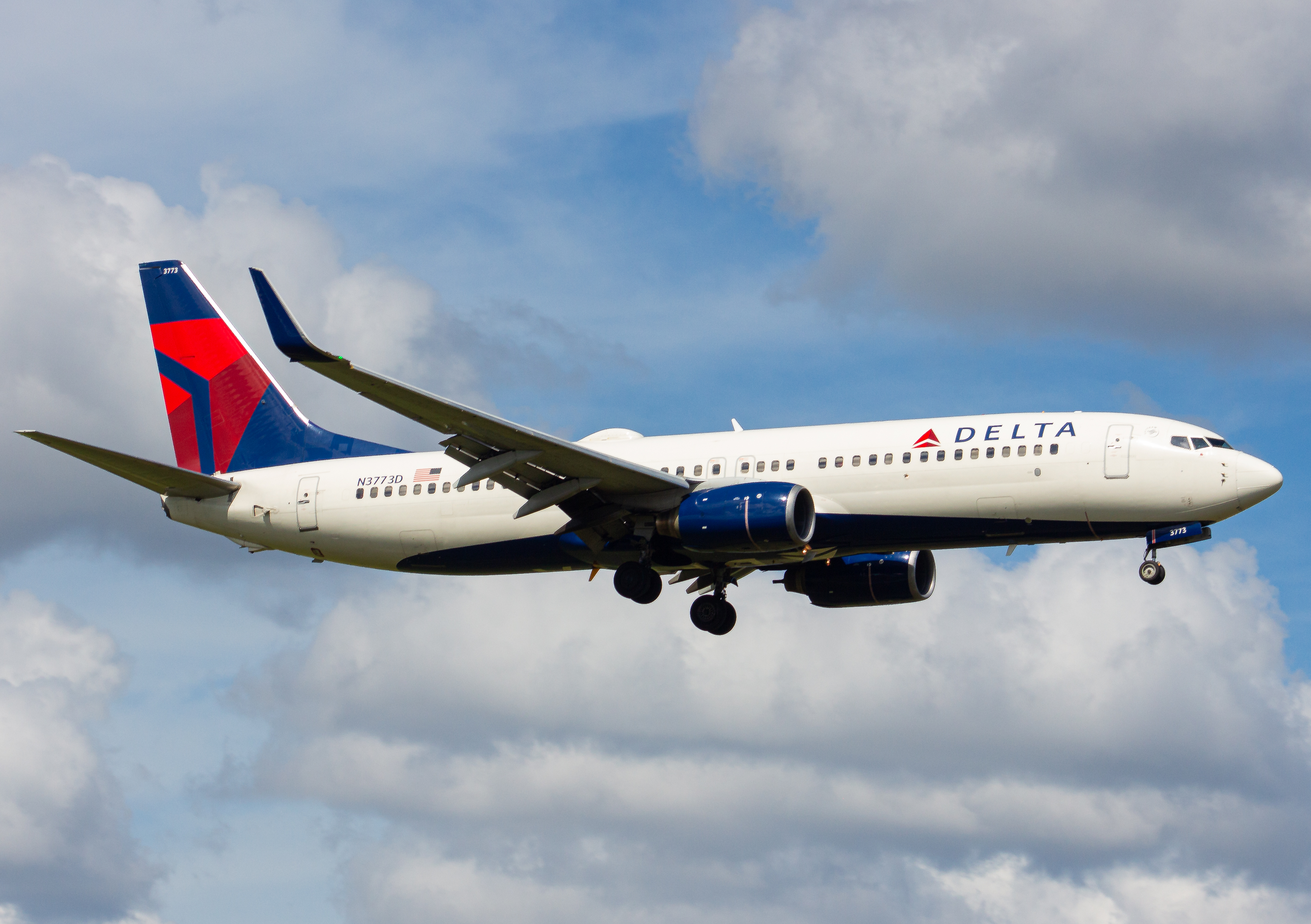 Full size: Delta Airlines Boeing 737-800 N3773D at Tampa International Airport