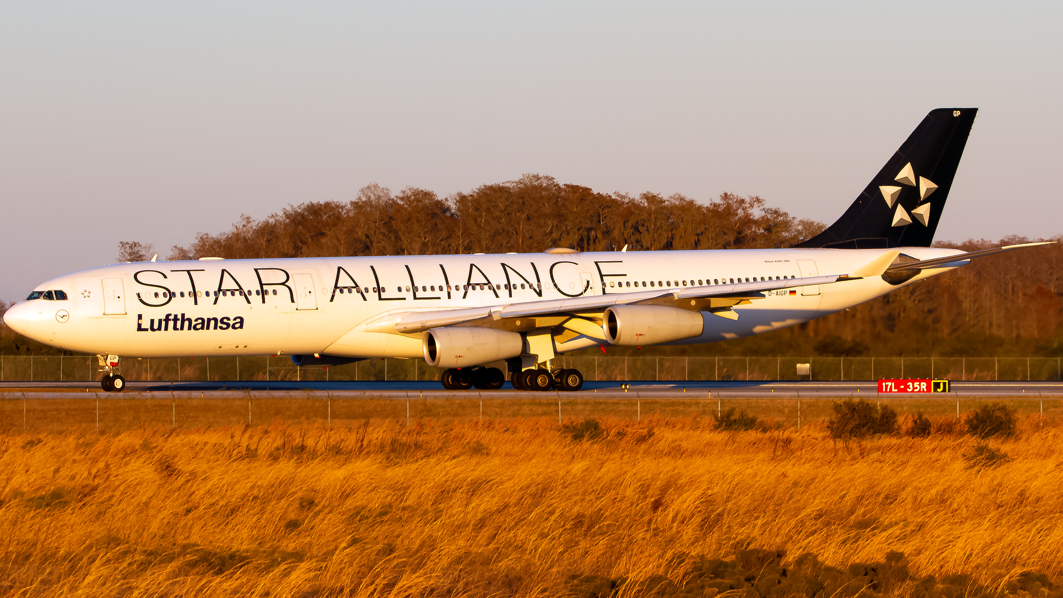 Full size: Lufthansa Airbus A340-300 D-AIGP at Orlando International Airport