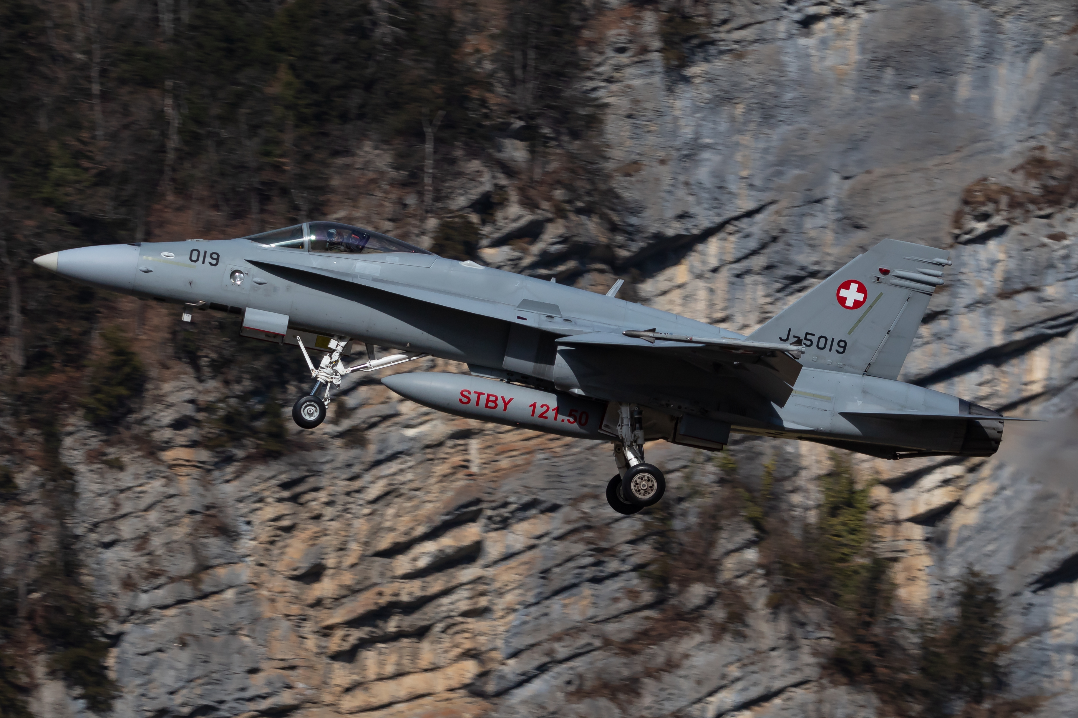 Full size: Swiss Air Force McDonnel Douglas F/A-18 Hornet J-5019 at 