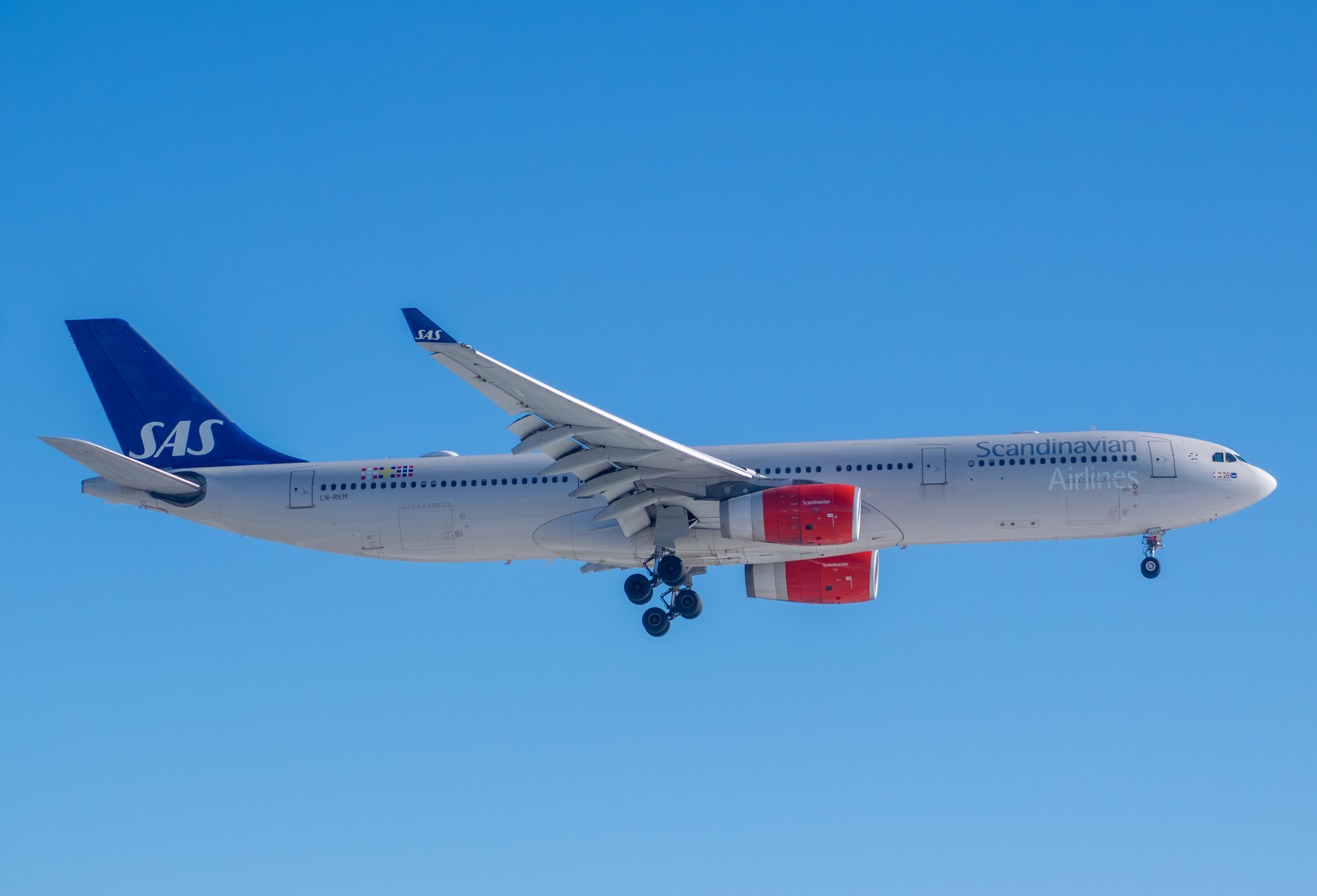 Full size: Scandinavian Airlines Airbus A330-300 LN-RKM at Newark Liberty International Airport