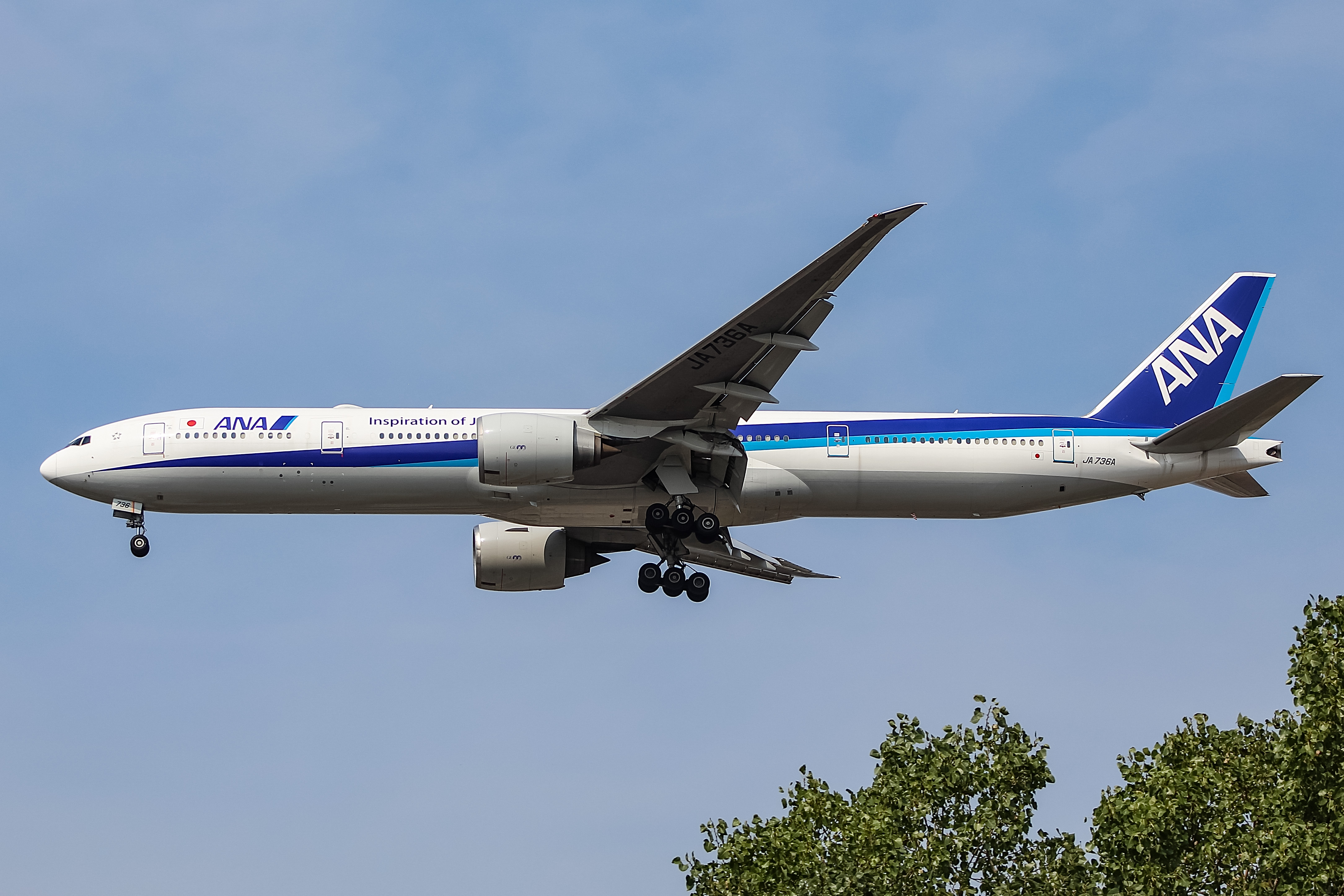 Full size: All Nippon Airways Boeing 777-300ER JA736A at Chicago O'Hare International Airport