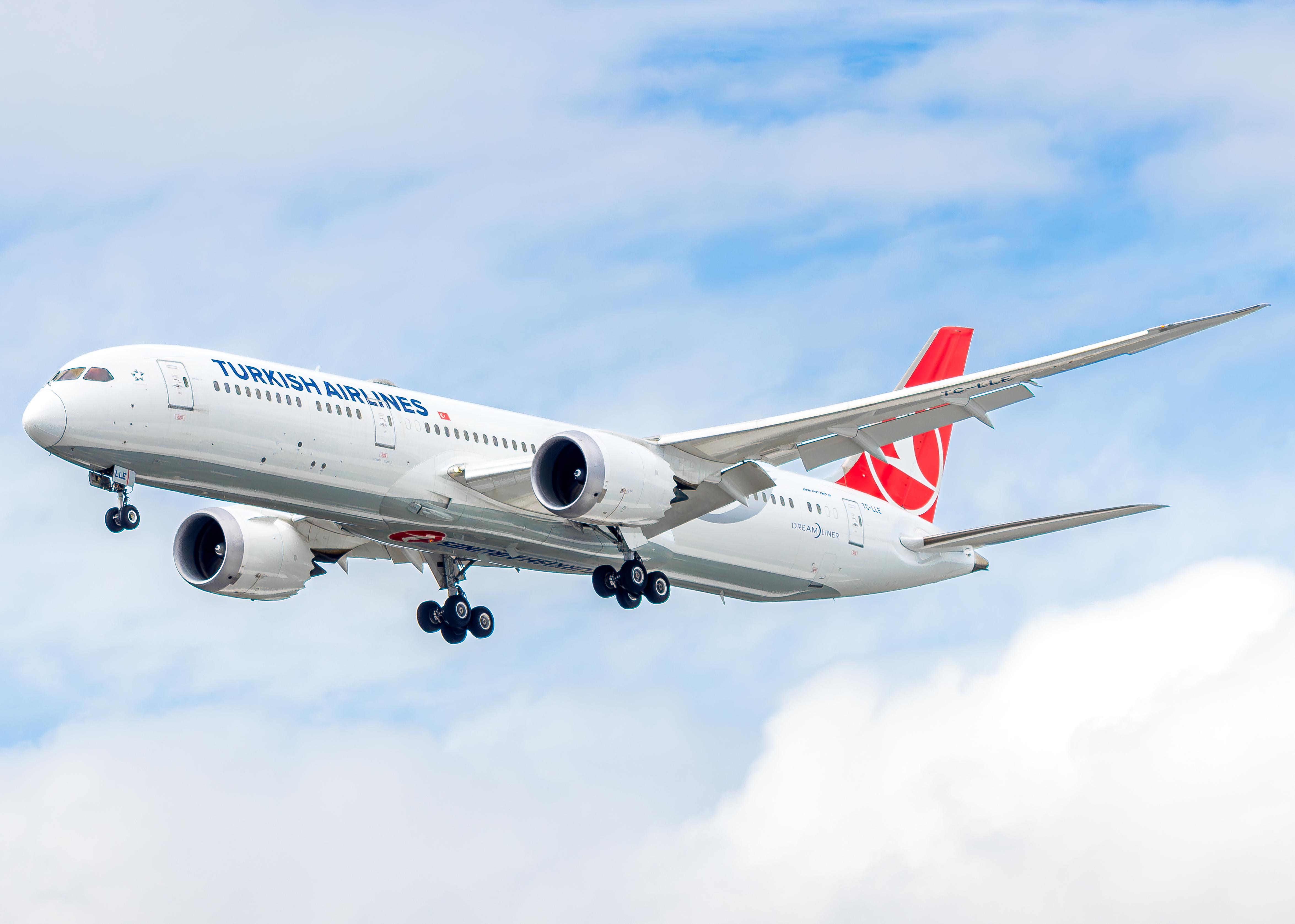 Full size: Turkish Airlines Boeing 787-9 TC-LLE at Seattle-Tacoma International Airport