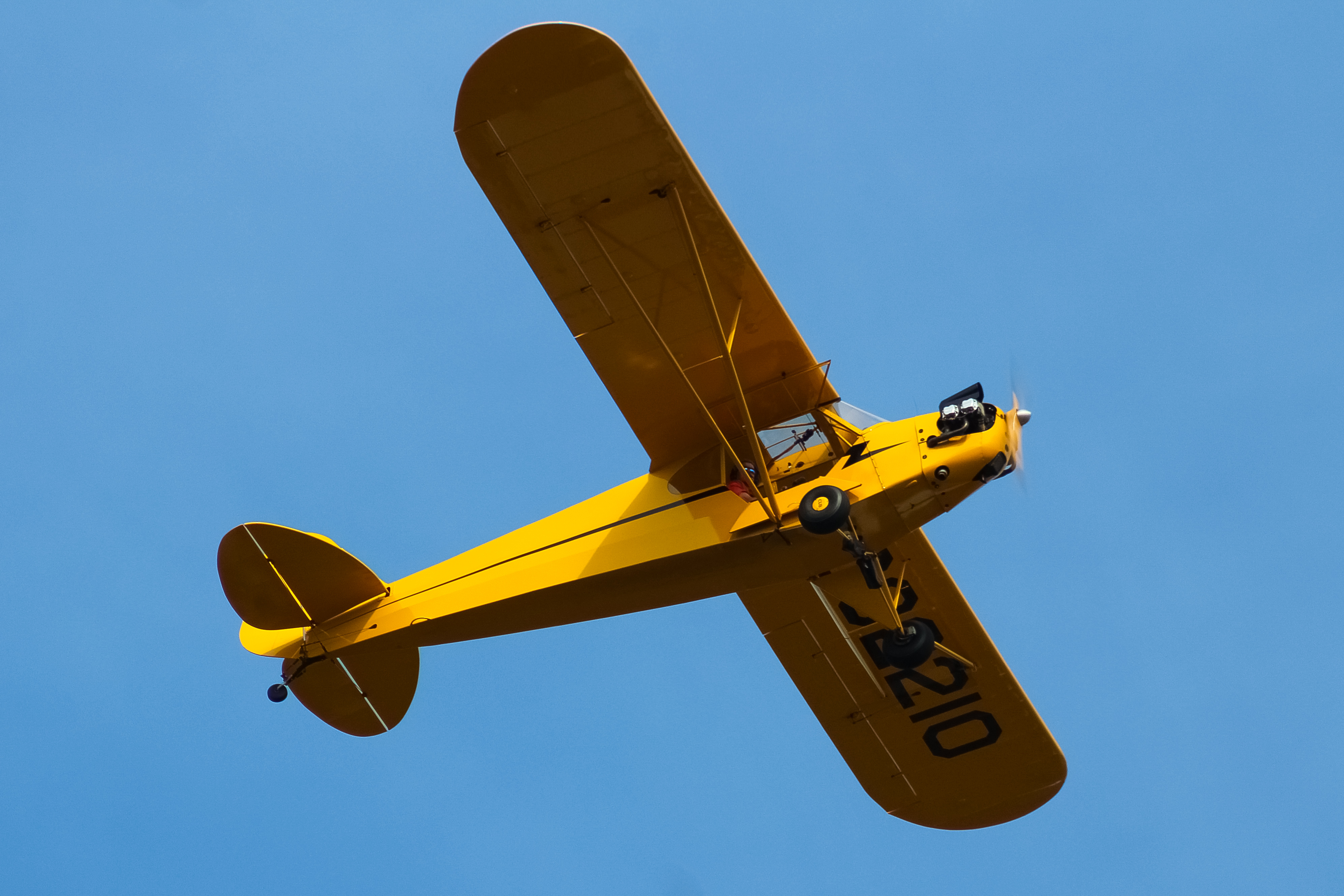 Full size: PRIVATE  Piper Cub NC92210 at Clermont County Airport
