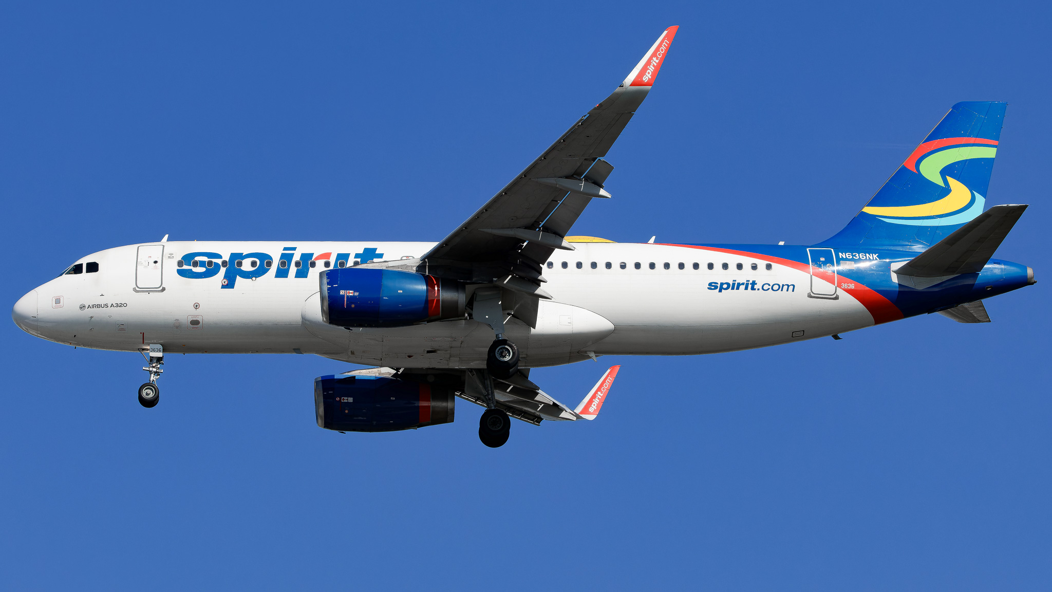 Full size: Spirit Airlines Airbus A320 N636NK at Tampa International Airport