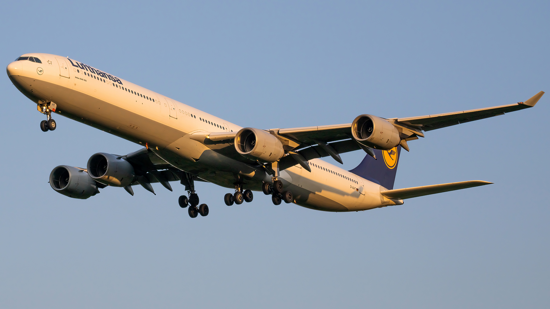 Full size: Lufthansa Airbus A340-600 D-AIHT at Washington Dulles International Airport