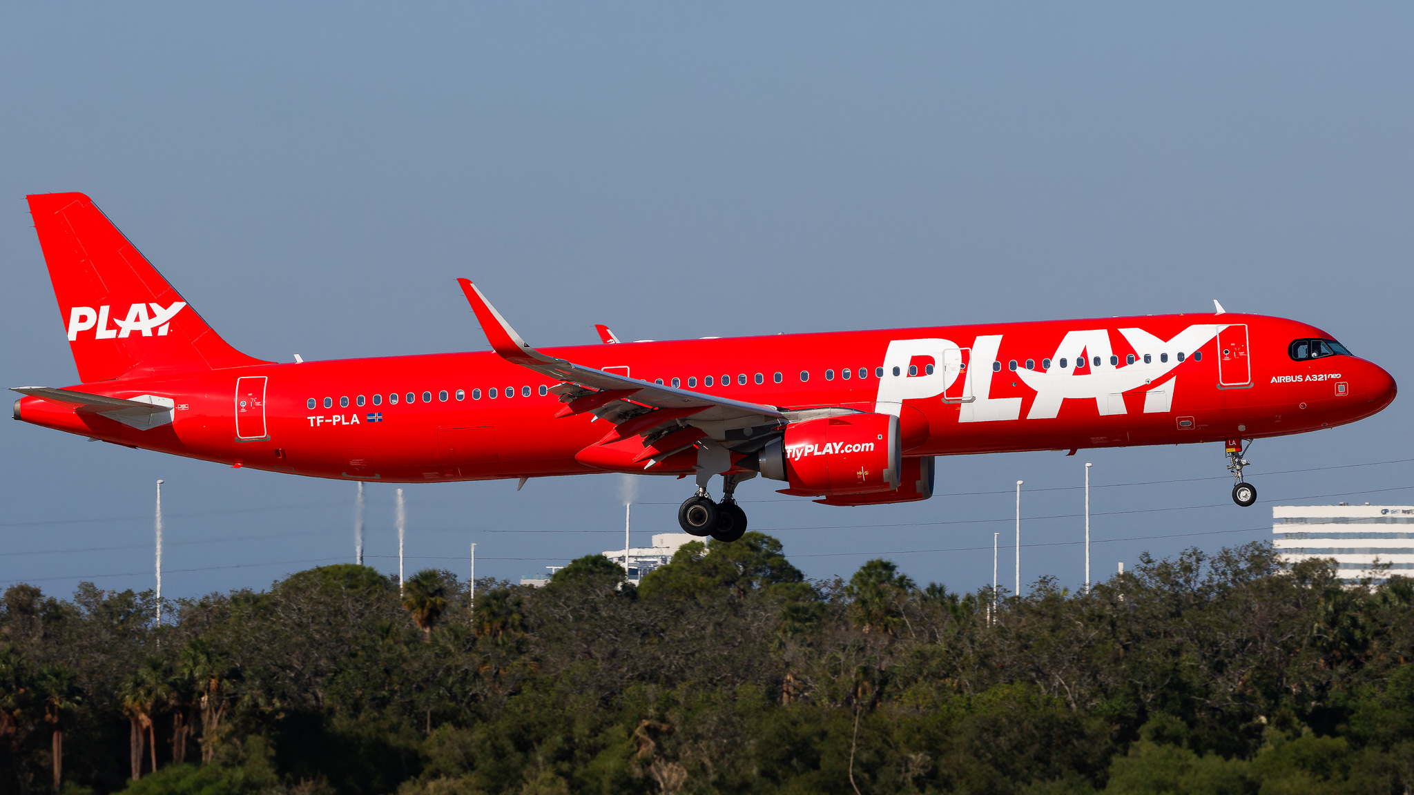 Full size: Play Airlines  Airbus A321NEO TF-PLA at Tampa International Airport