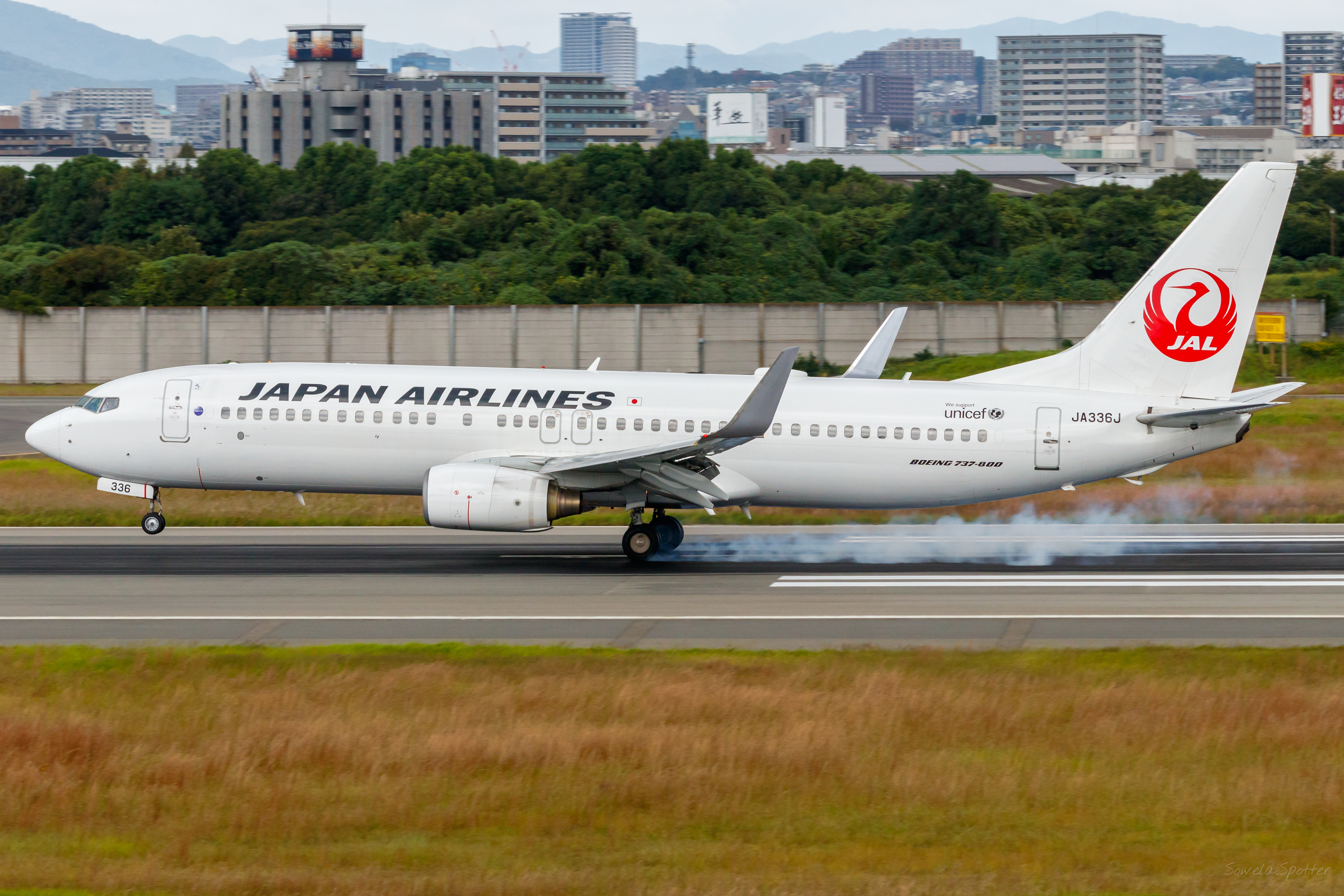 Full size: Japan Airlines Boeing 737-800 JA336J at Osaka International Airport