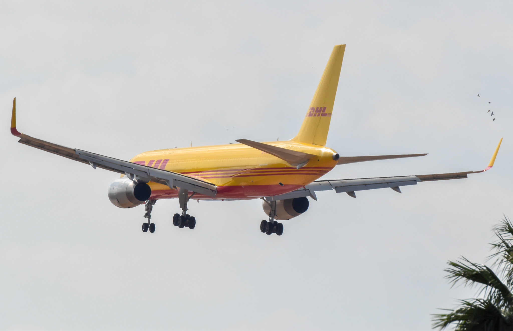 Full size: DHL Boeing 757-200 G-DHKC at Tel Aviv-Ben Gurion Airport