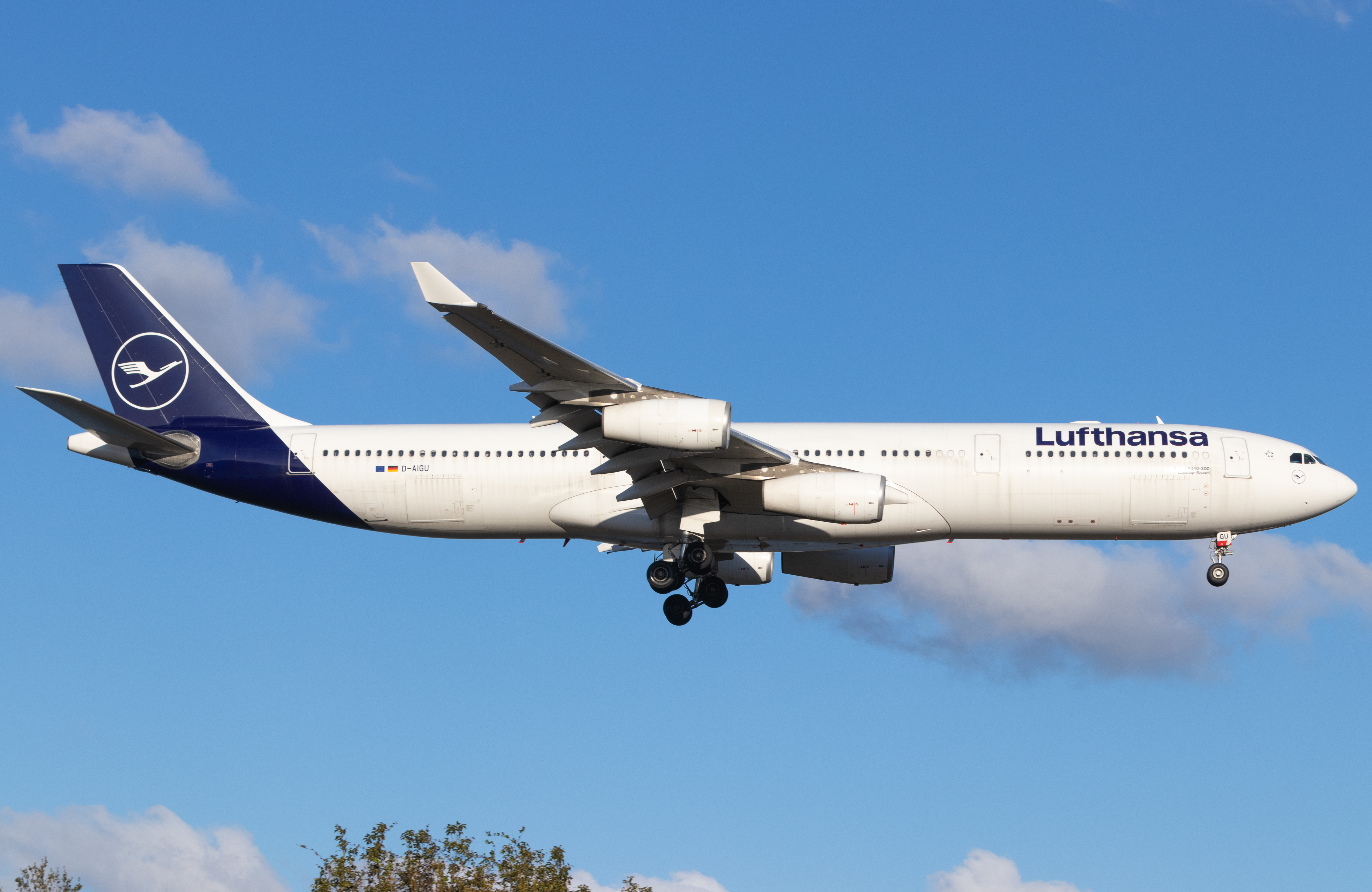 Full size: Lufthansa Airbus A340-300 D-AIGU at Orlando International Airport