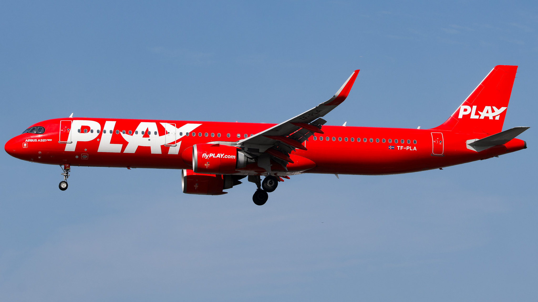 Full size: Play Airlines  Airbus A321NEO TF-PLA at Tampa International Airport