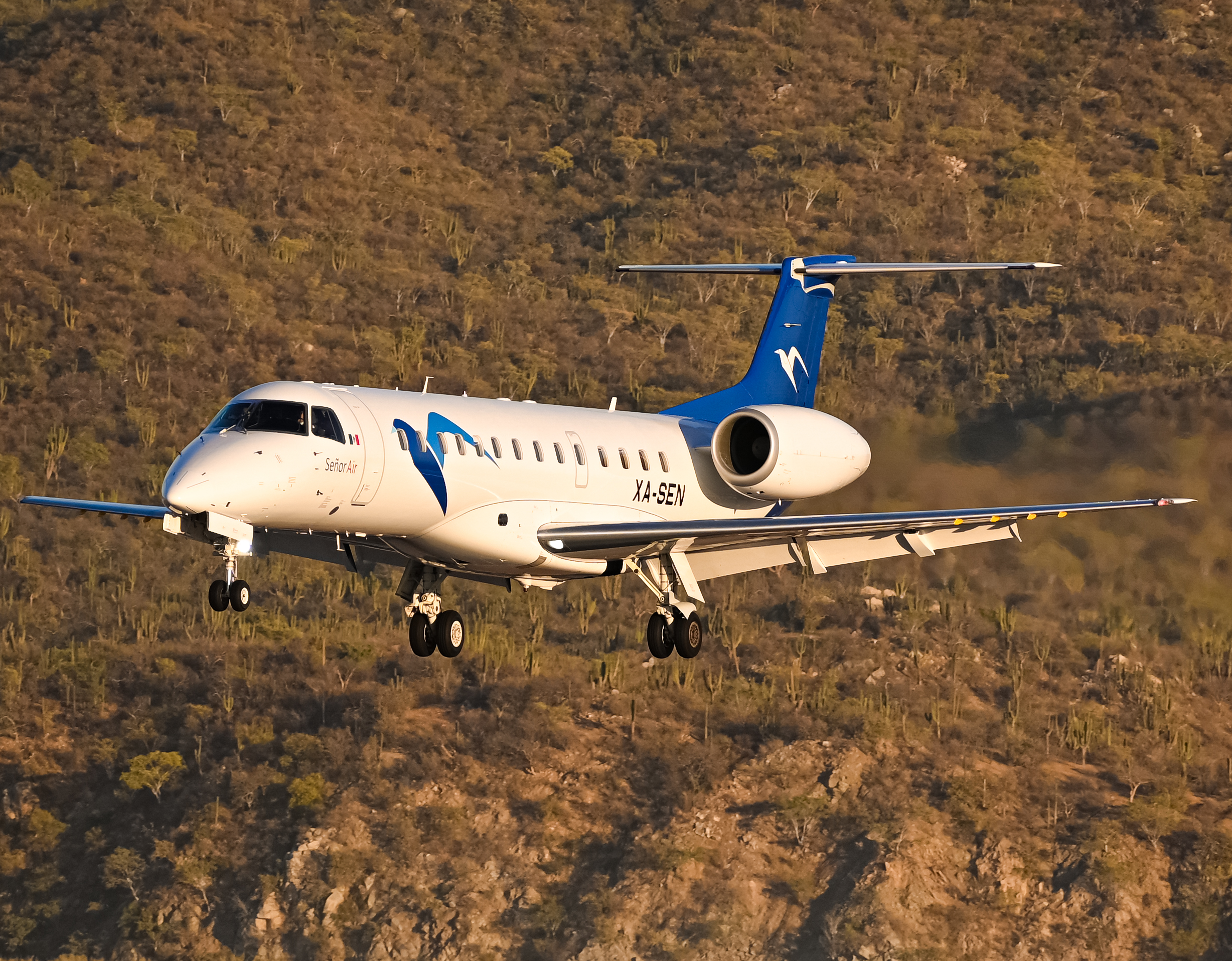 Full size: Senor Air Embraer E135 XA-SEN at Aeropuerto de Cabo San Lucas Internacional