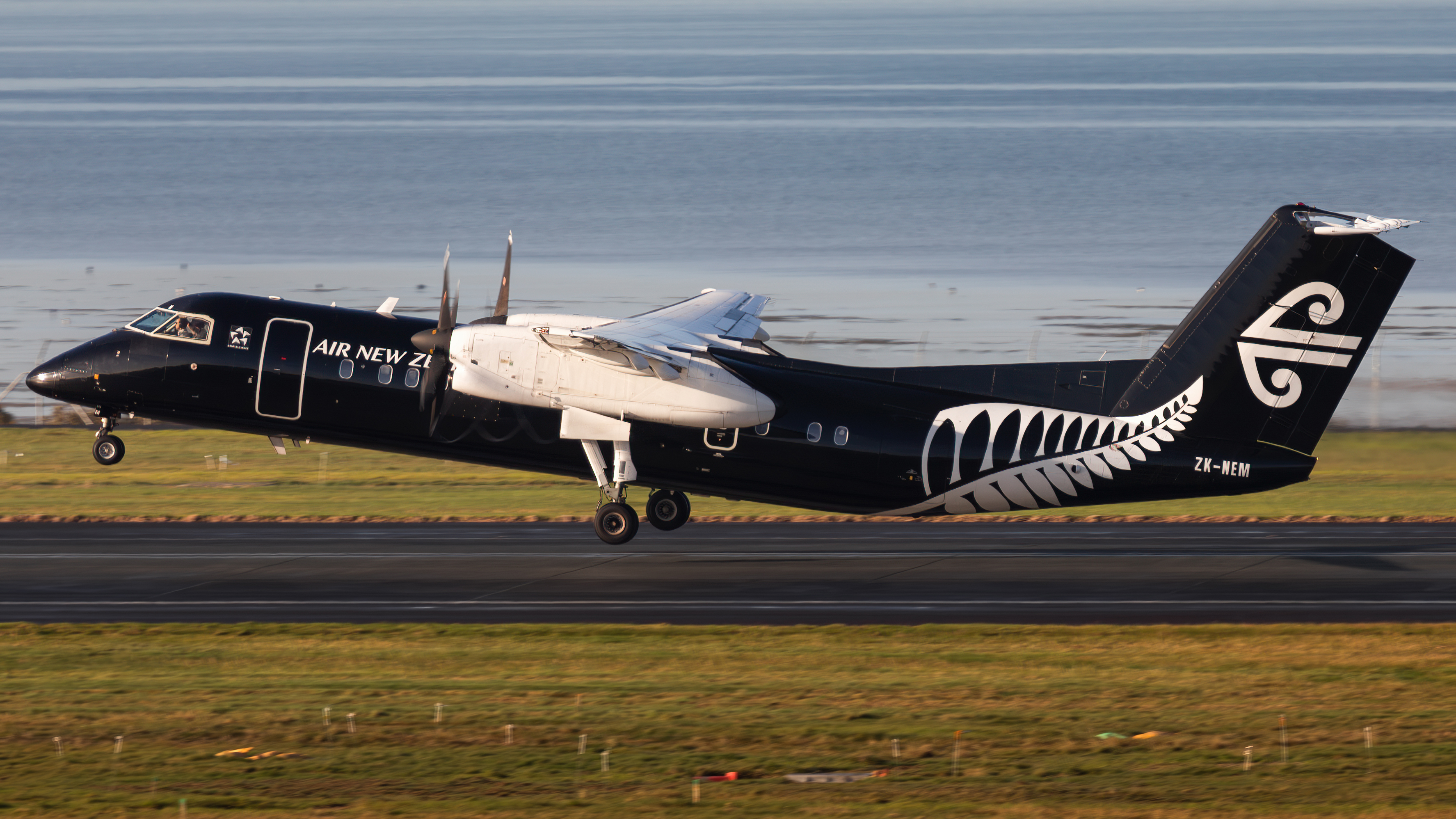 Full size: Air New Zealand De Havilland Dash-8 q300 ZK-NEM at Auckland International Airport