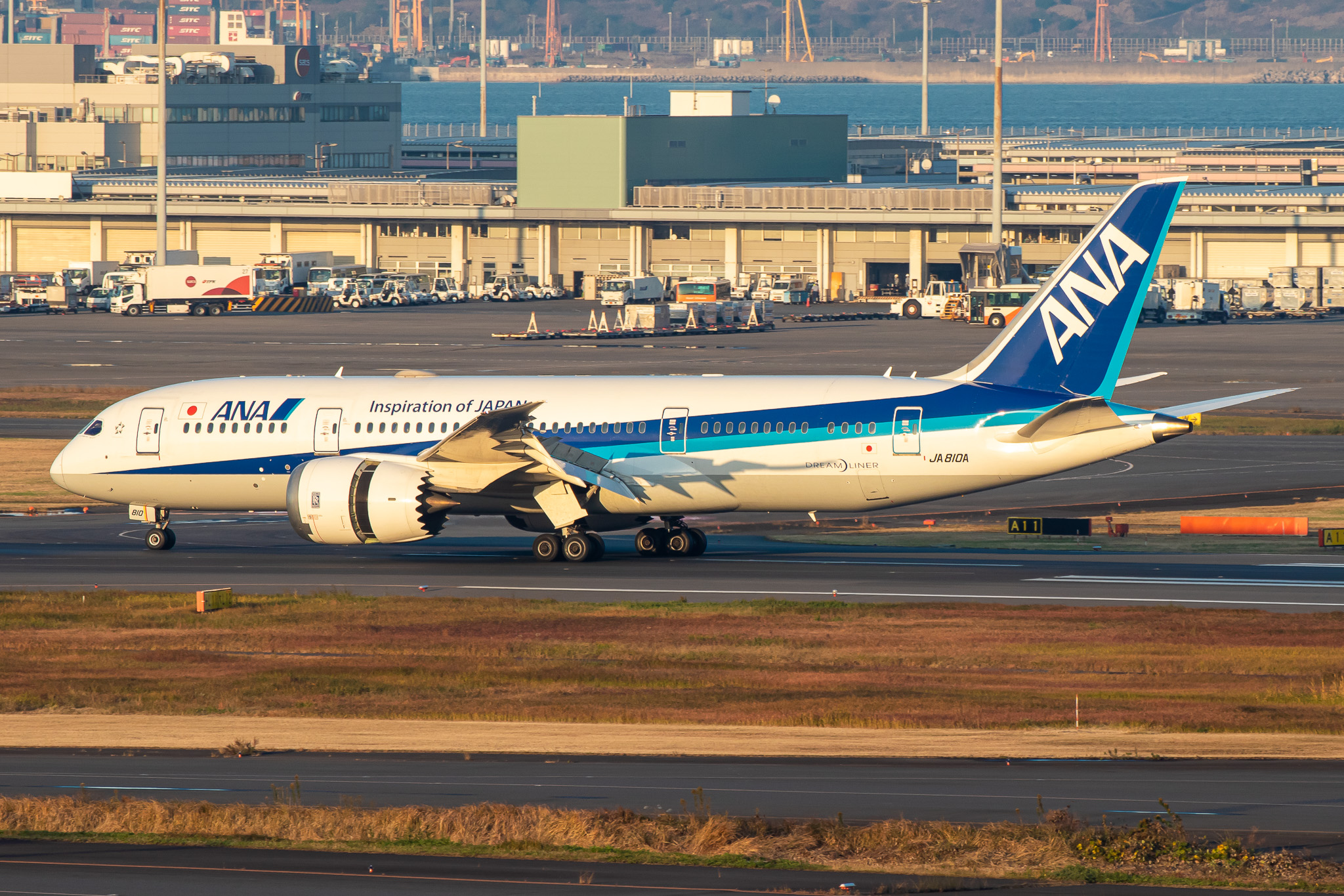 Full size: All Nippon Airways Boeing 787-8 JA810A at Tokyo-Haneda Airport