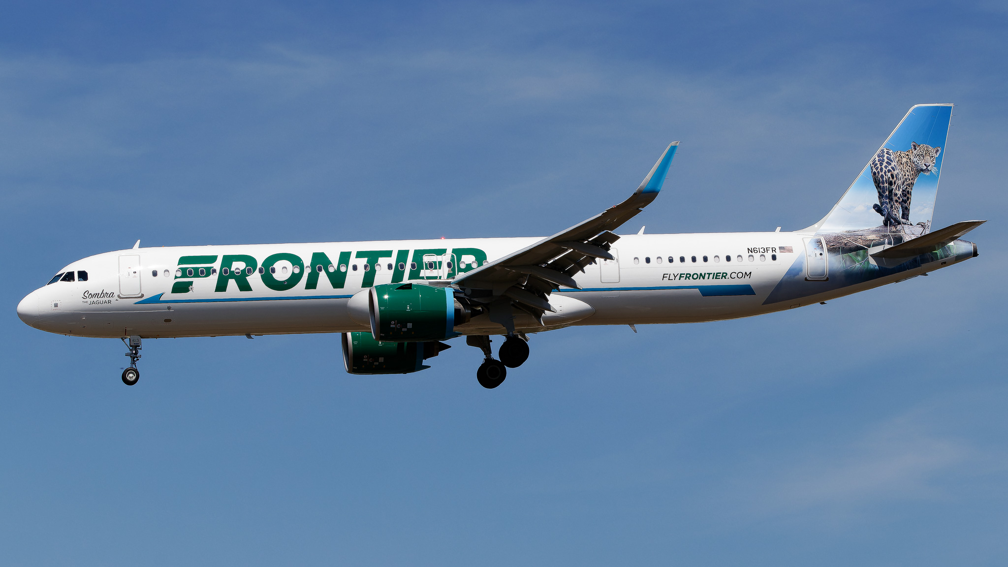 Full size: Frontier Airlines Airbus A321NEO N613FR at Tampa International Airport