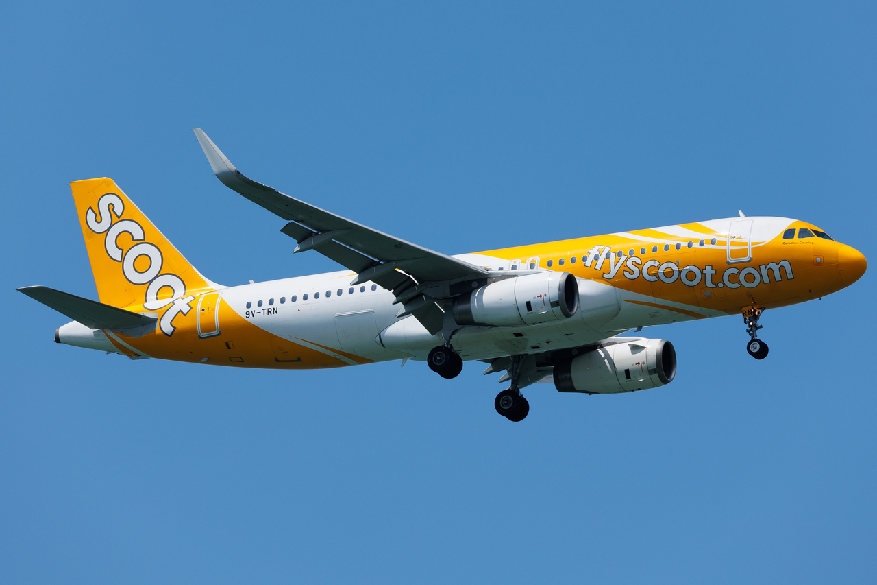 Full size: Scoot Airbus A320 9V-TRN at Singapore-Changi Airport