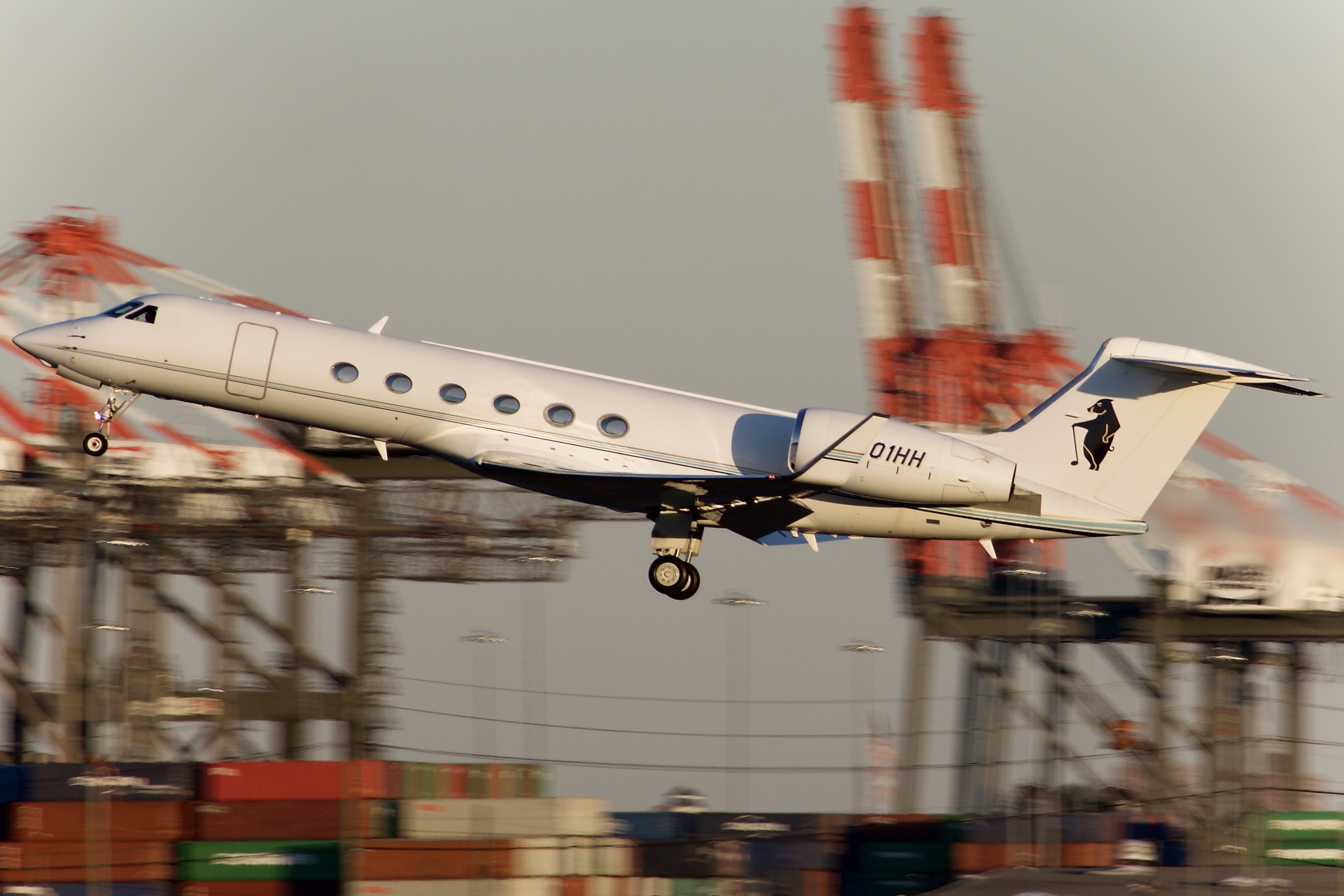 Full size: Hogs Head Air II LLC Gulfstream V N801HH at Newark Liberty International Airport