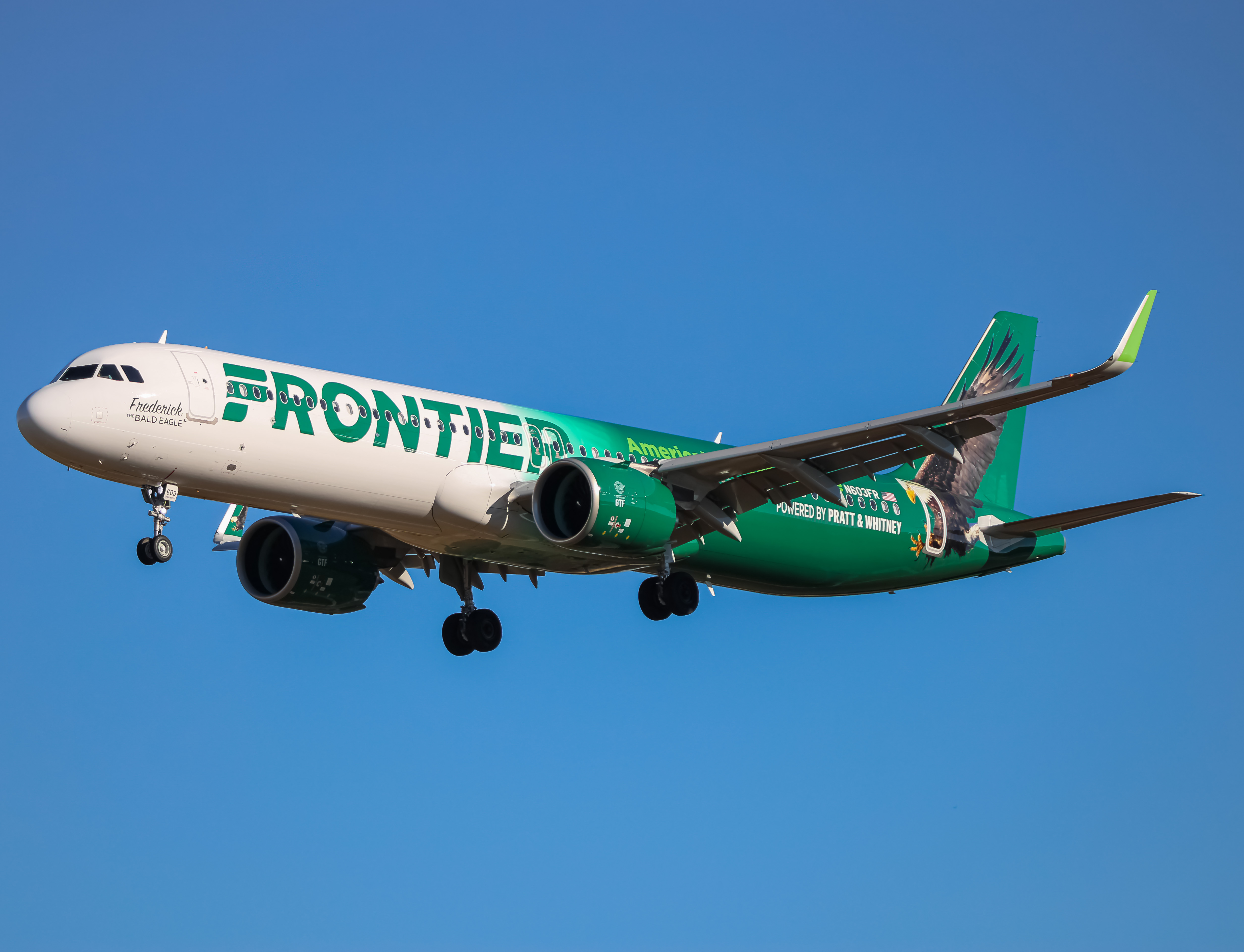 Full size: Frontier Airlines Airbus A321NEO N603FR at Baltimore/Washington International Thurgood Marshall Airport