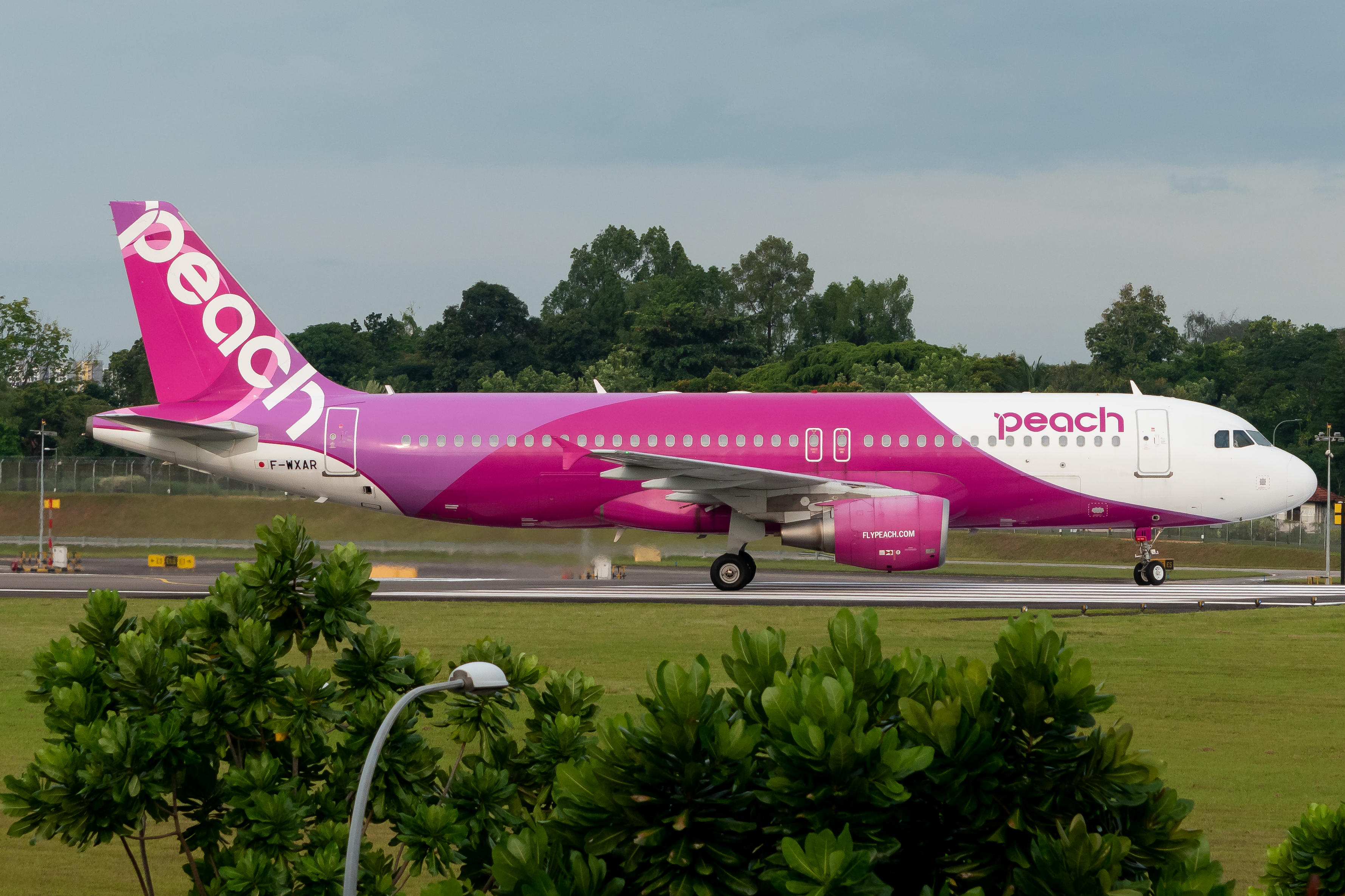 Full size: Peach Aviation Airbus A320 F-WXAR at Seletar Airport