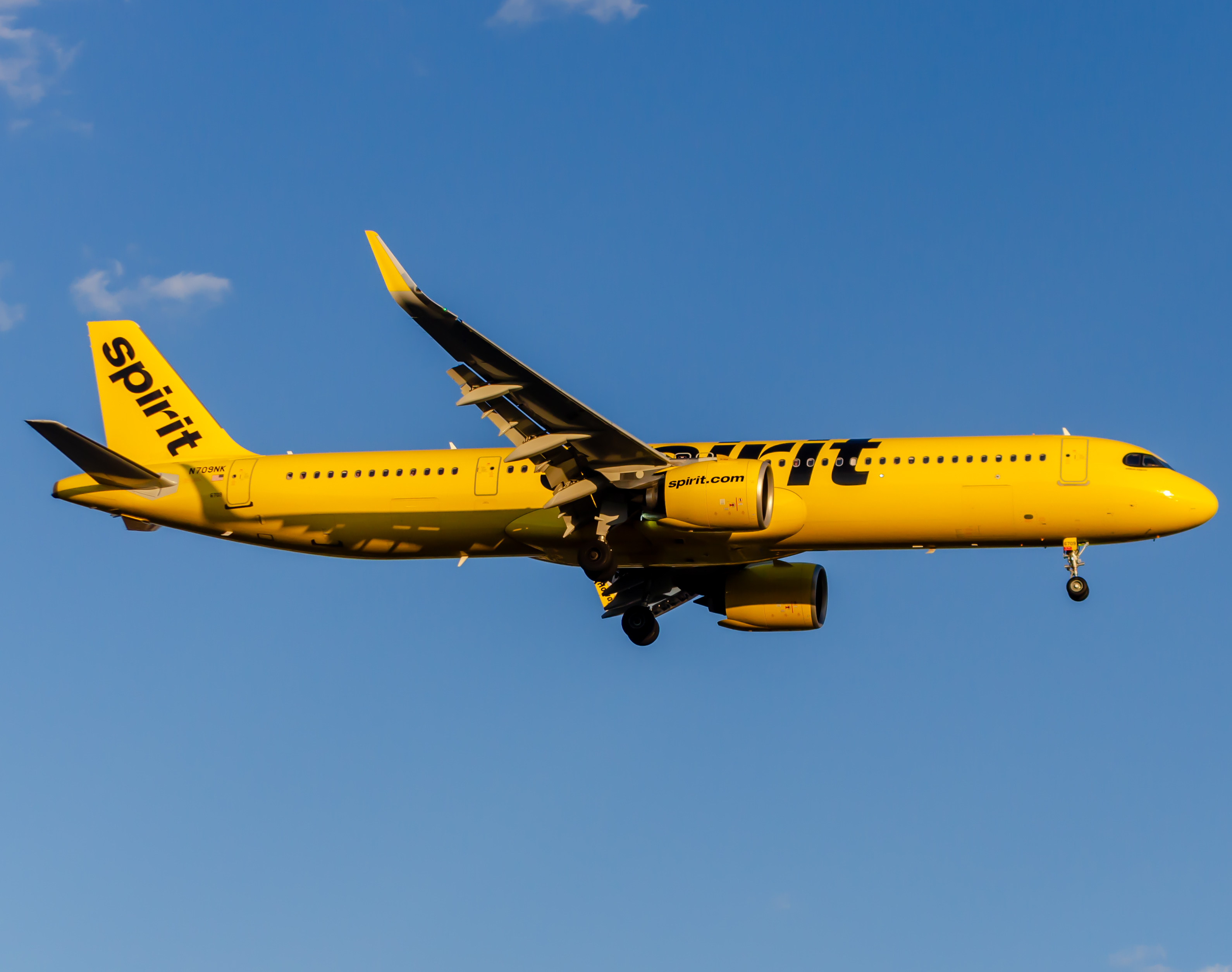 Full size: Spirit Airlines  Airbus A321NEO N709NK at Newark Liberty International Airport