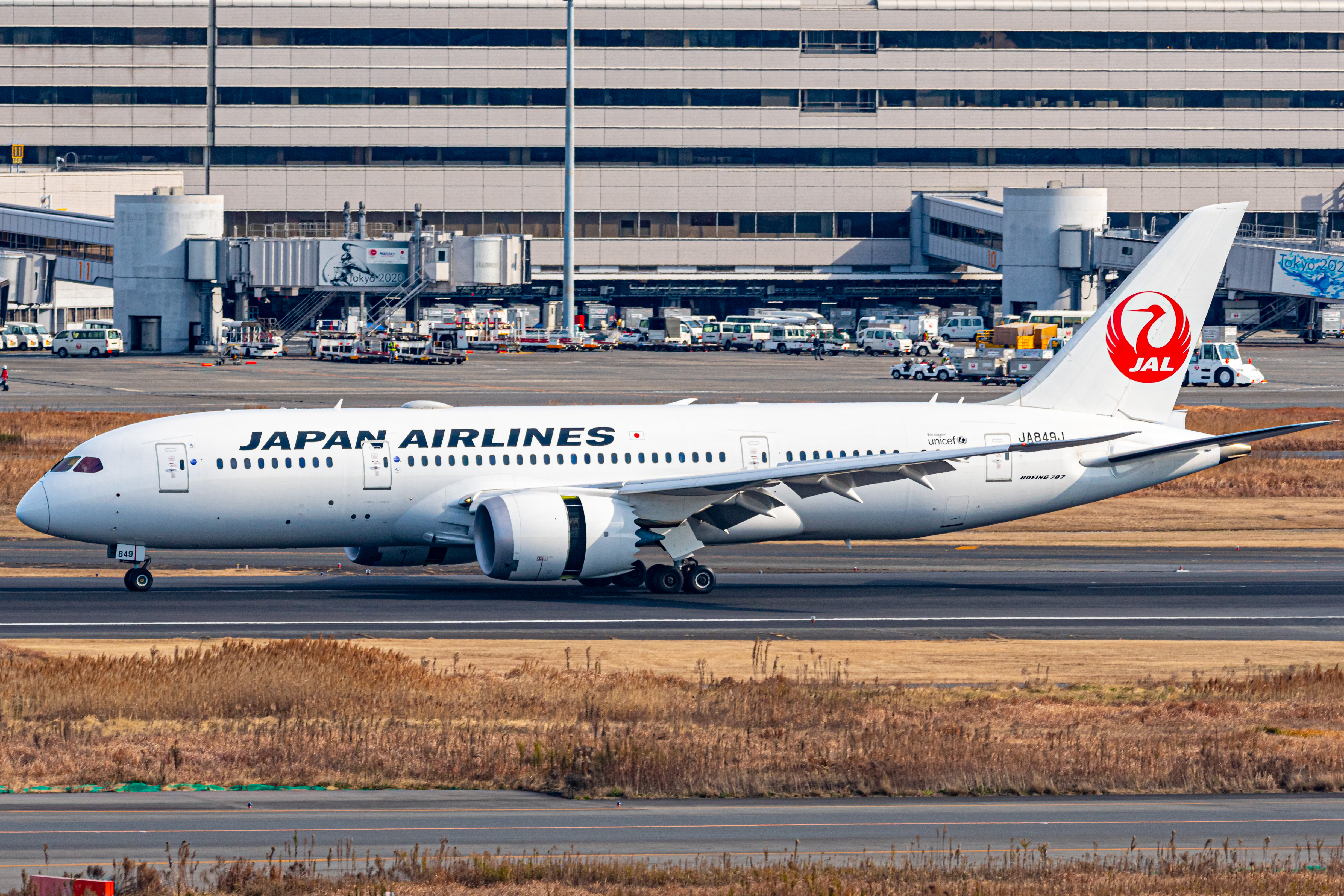 Full size: Japan Airlines Boeing 787-8 JA849J at Tokyo-Haneda Airport