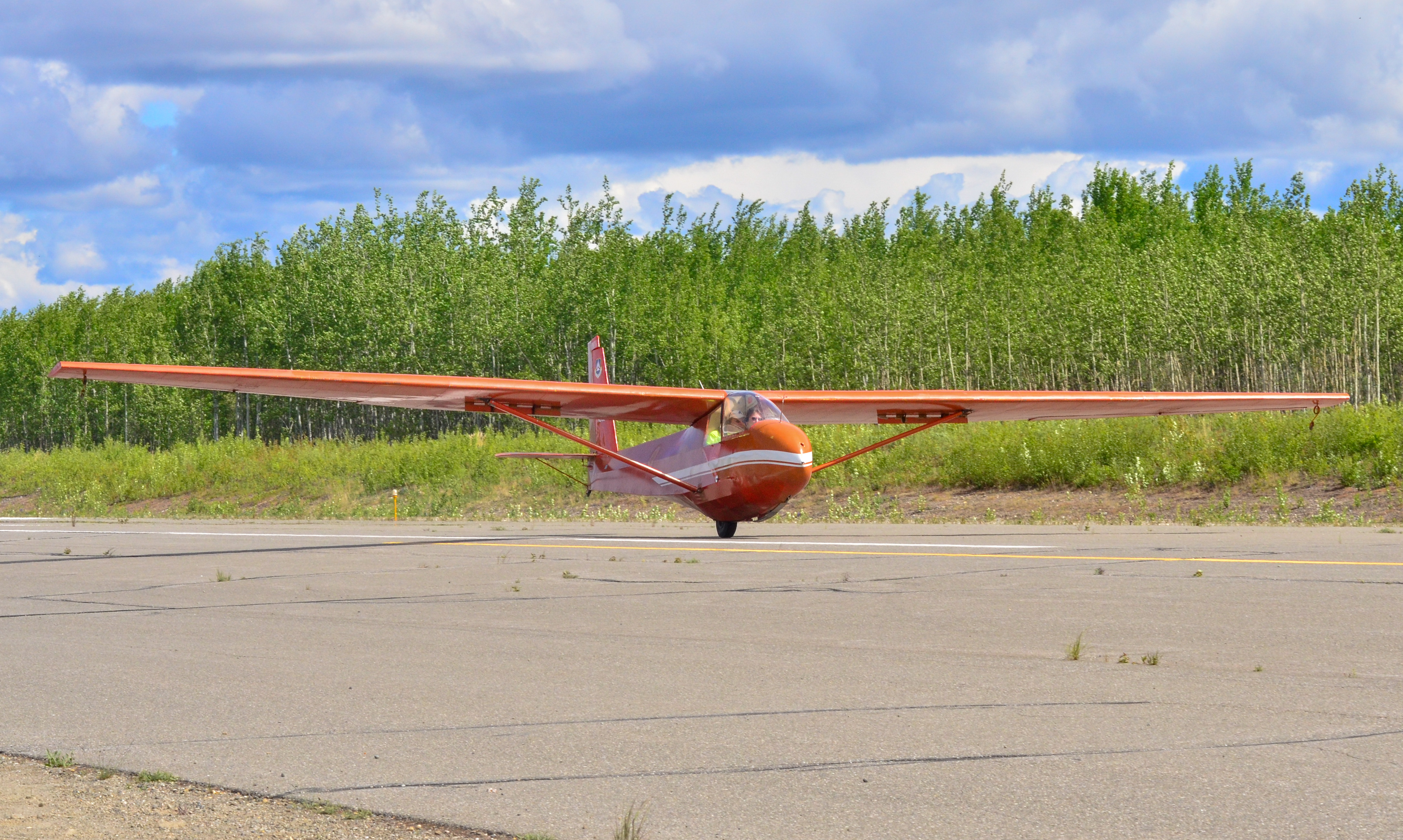 Full size: Civil Air Patrol Schweizer SGS 2-33A N2624H at 