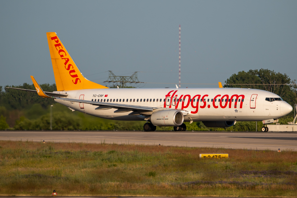 Full size: Pegasus Air Boeing 737-800 TC-CRF at Berlin Brandenburg Airport